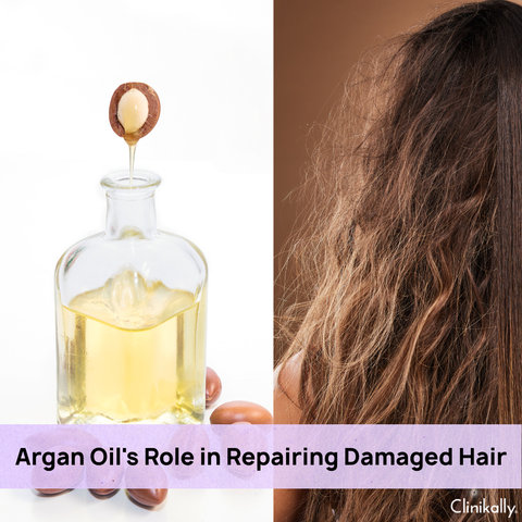 Argan Oil's Role in Repairing Damaged Hair