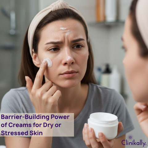 The Barrier-Building Power of Creams for Dry or Stressed Skin