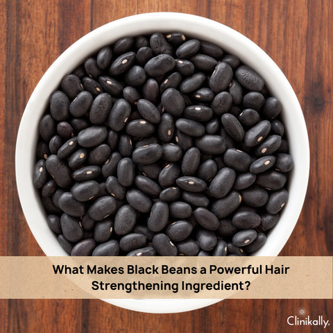 What Makes Black Beans a Powerful Hair Strengthening Ingredient?
