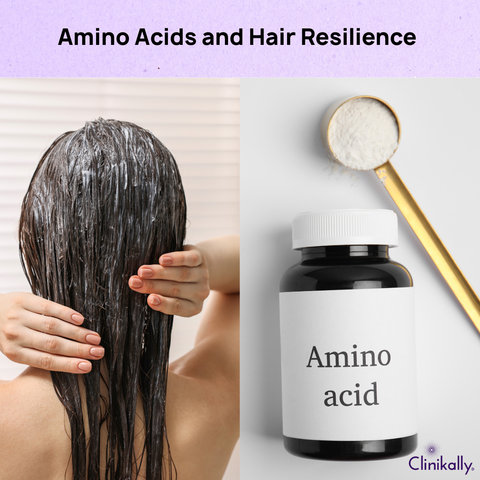Amino Acids and Hair Resilience: The Role of Plant-Based Protein
