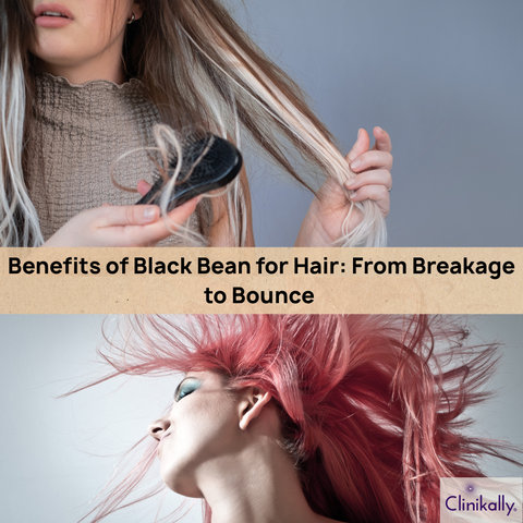 Benefits of Black Bean for Hair: From Breakage to Bounce