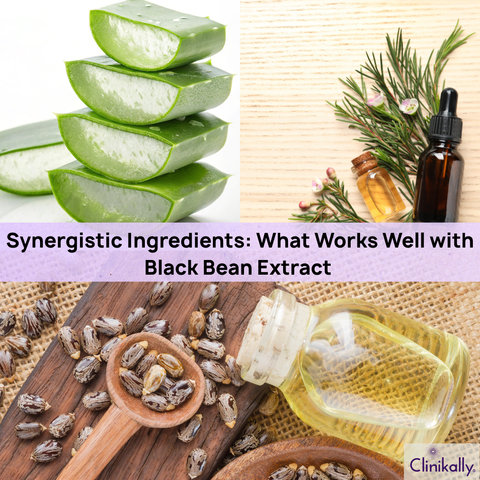 Synergistic Ingredients: What Works Well with Black Bean Extract