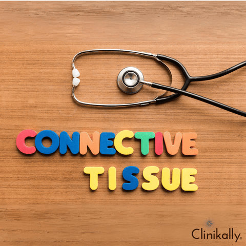 Understanding the Importance of Connective Tissue for Skin Structure