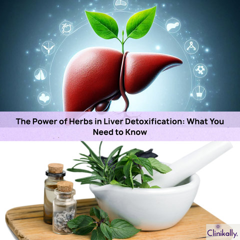 The Power of Herbs in Liver Detoxification: What You Need to Know