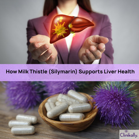 How Milk Thistle (Silymarin) Supports Liver Health