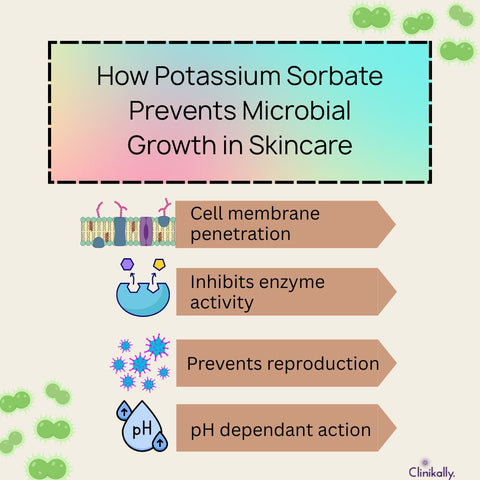 How Potassium Sorbate Prevents Microbial Growth in Skincare
