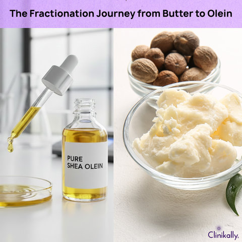 The Fractionation Journey from Butter to Olein