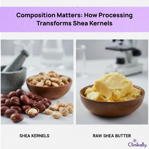 Composition Matters: How Processing Transforms Shea Kernels