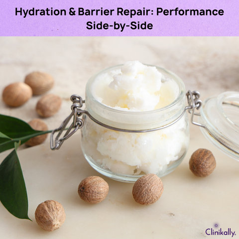 Hydration & Barrier Repair: Performance Side-by-Side