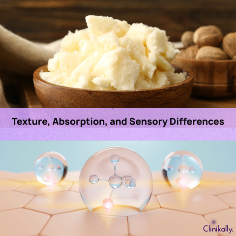Texture, Absorption, and Sensory Differences