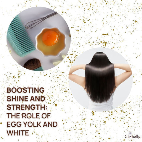 Boosting Shine and Strength: The Role of Egg Yolk and White