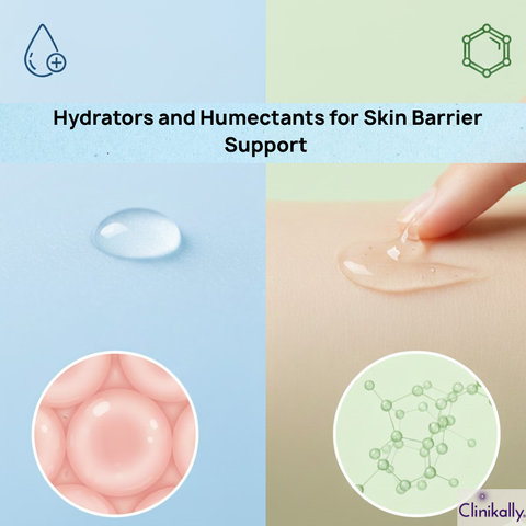 Hydrators and Humectants for Skin Barrier Support