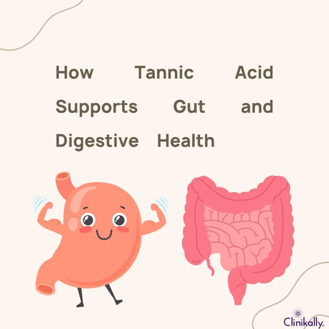 How Tannic Acid Supports Gut and Digestive Health