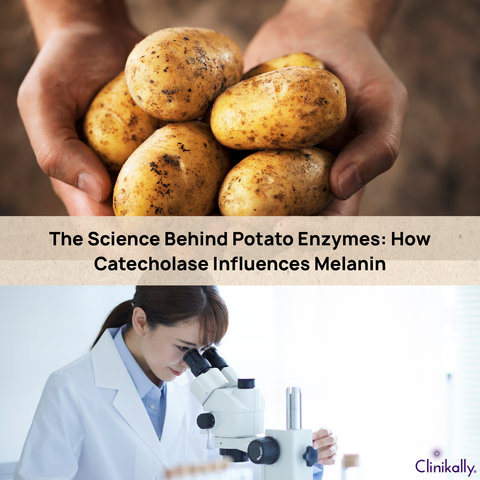 The Science Behind Potato Enzymes: How Catecholase Influences Melanin