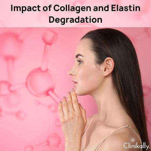 Impact of Collagen and Elastin Degradation