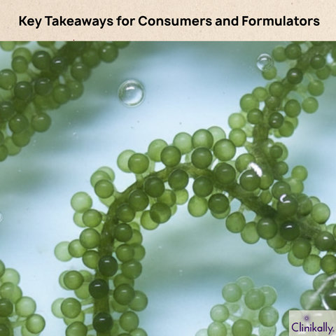 Key Takeaways for Consumers and Formulators