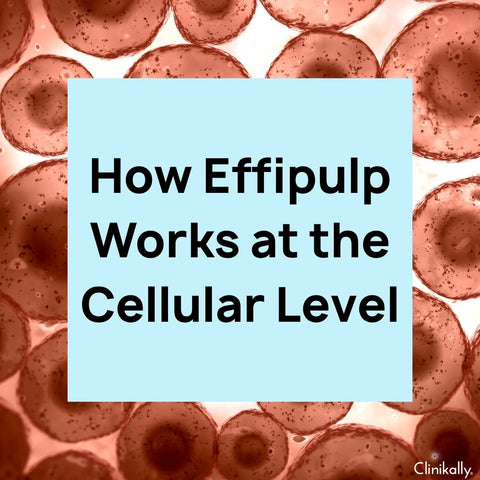 How Effipulp Works at the Cellular Level