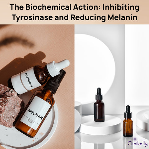 The Biochemical Action: Inhibiting Tyrosinase and Reducing Melanin