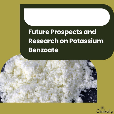 Future Prospects and Research on Potassium Benzoate