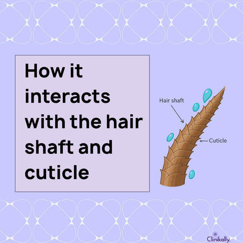 How it interacts with the hair shaft and cuticle