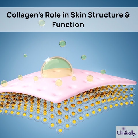 Collagen’s Role in Skin Structure and Function