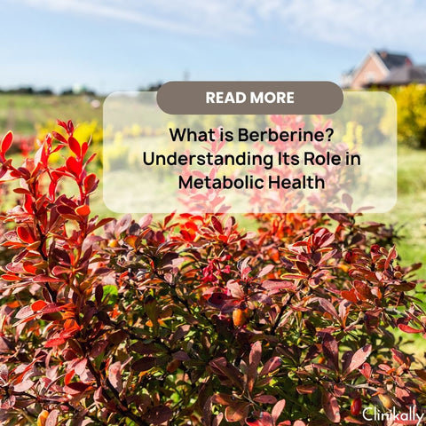 What is Berberine? Understanding Its Role in Metabolic Health