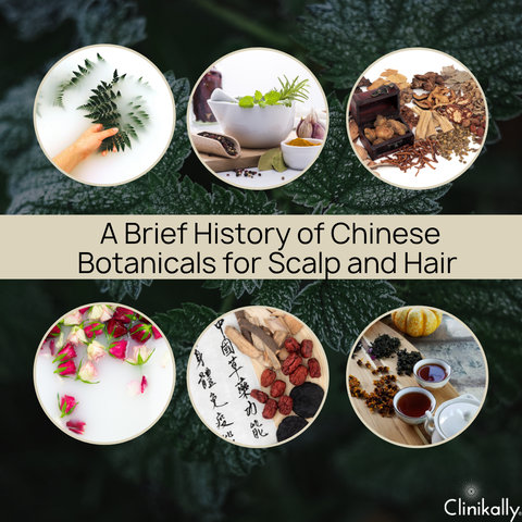 A Brief History of Chinese Botanicals for Scalp and Hair