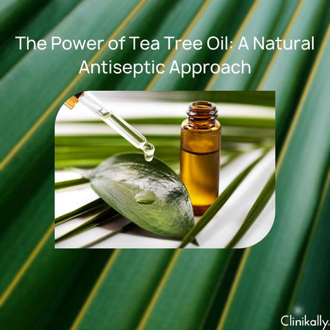 The Power of Tea Tree Oil: A Natural Antiseptic Approach