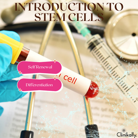Introduction To Stem Cells