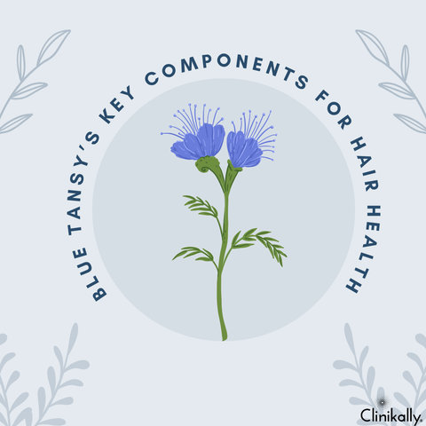Blue Tansy’s Key Components for Hair Health