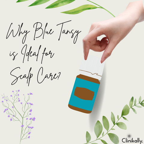 Why Blue Tansy is Ideal for Scalp Care