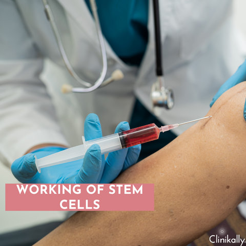 Working Of Stem Cells