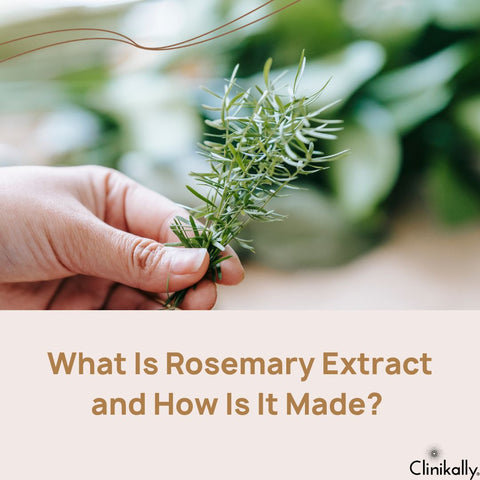 What Is Rosemary Extract and How Is It Made?