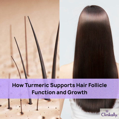 How Turmeric Supports Hair Follicle Function and Growth