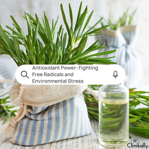 Antioxidant Power: Fighting Free Radicals and Environmental Stress