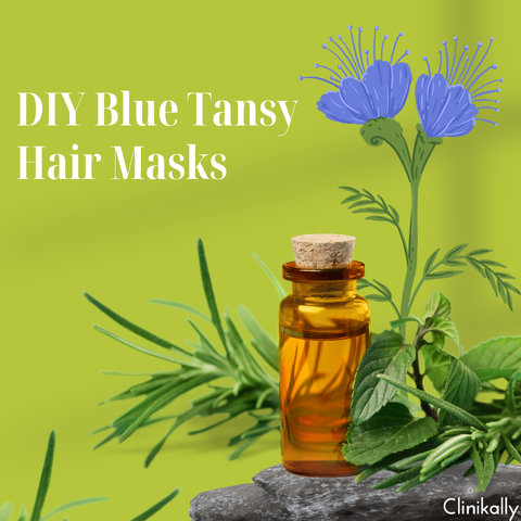 DIY Blue Tansy Hair Masks