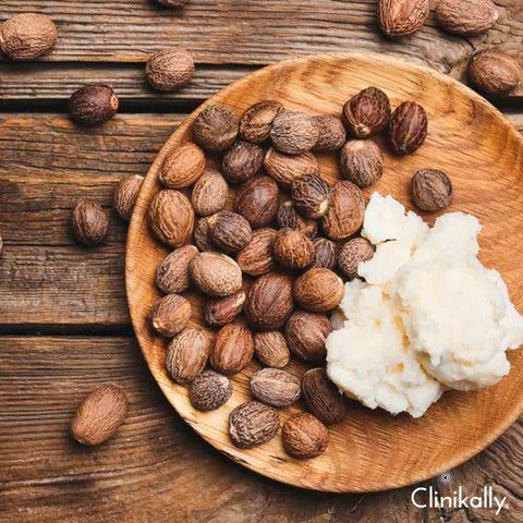 Shea butter beside whole shea nuts for skincare comparison