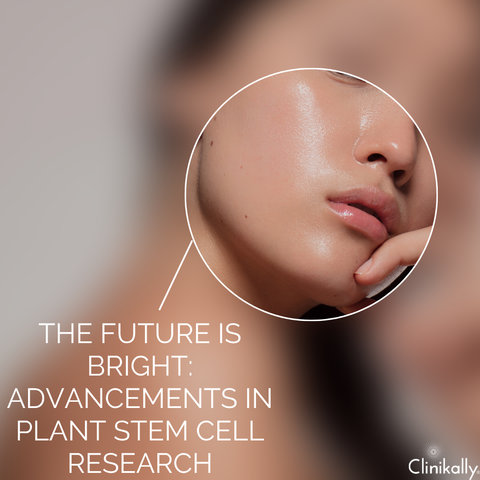The Future is Bright: Advancements in Plant Stem Cell Research
