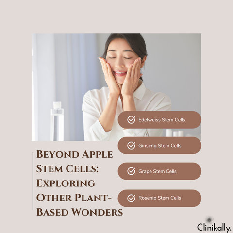 Beyond Apple Stem Cells: Exploring Other Plant-Based Wonders