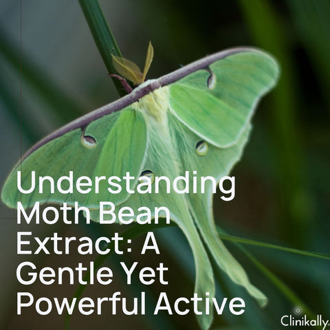 Understanding Moth Bean Extract: A Gentle Yet Powerful Active