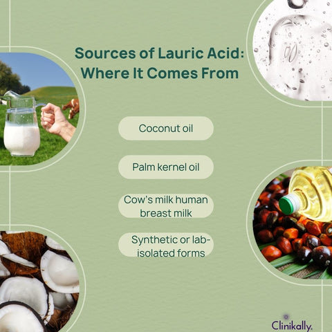 Sources of Lauric Acid: Where It Comes From