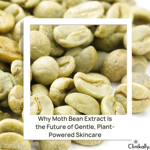Why Moth Bean Extract Is the Future of Gentle, Plant-Powered Skincare