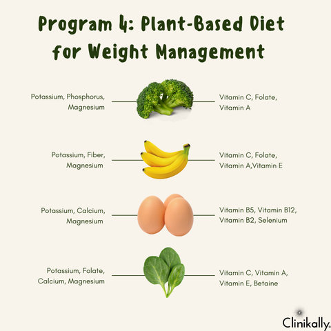 Program 4: Plant-Based Diet for Weight Management