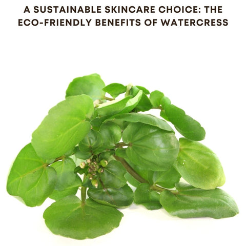 A Sustainable Skincare Choice: The Eco-Friendly Benefits of Watercress