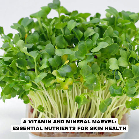 A Vitamin and Mineral Marvel: Essential Nutrients for Skin Health