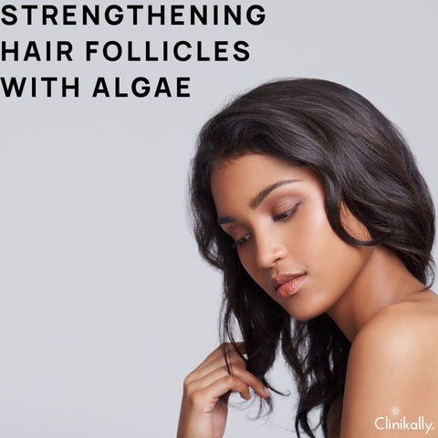 Strengthening Hair Follicles with Algae