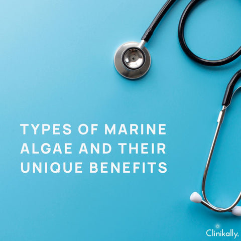 Types of Marine Algae and Their Unique Benefits