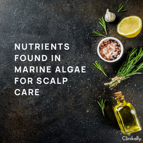 Nutrients Found in Marine Algae for Scalp Care