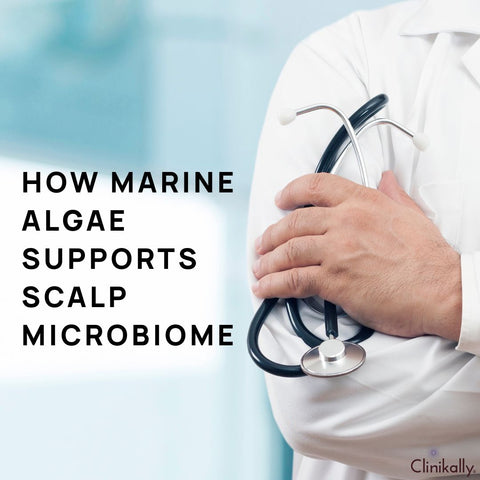 How Marine Algae Supports Scalp Microbiome