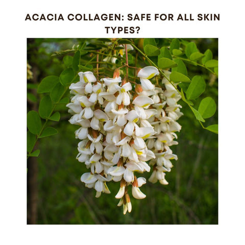 Acacia Collagen: Safe for All Skin Types?